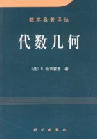 代数几何 (科学出版社 2001)