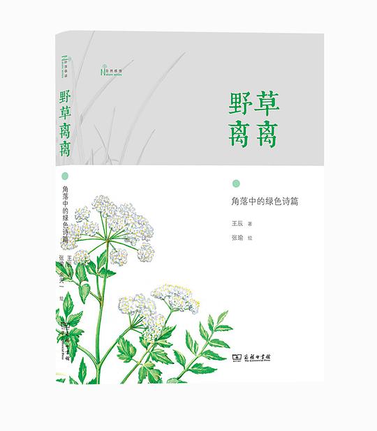 野草离离