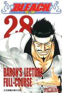 死神28 (东立出版社有限公司 2007)