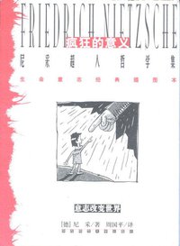 疯狂的意义 (陕西师范大学出版社 2002)