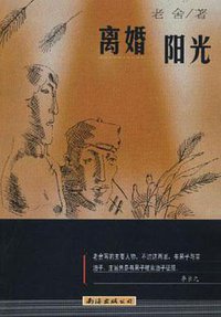 离婚 (南海出版公司 1998)