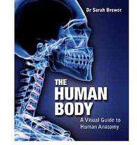 The Human Body A Visual Guide to Human Anatomy 
