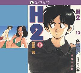 H2 天下版 13