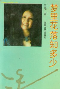 梦里花落知多少 (湖南文艺出版社 1993)