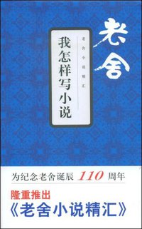 我怎样写小说 (文汇出版社 2009)
