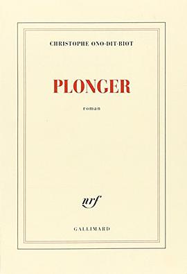 Plonger - Prix de l’Académie française 2013