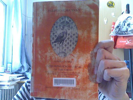 Acquiring Knowledge of the Ideas