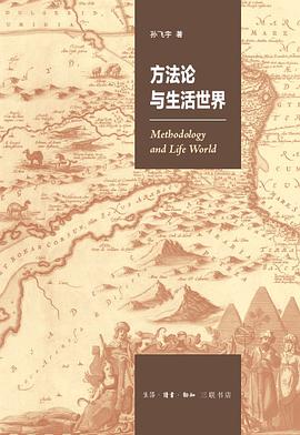 方法论与生活世界