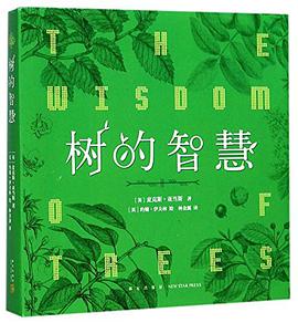 树的智慧