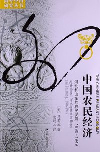 中国农民经济 (江苏人民出版社 2013)