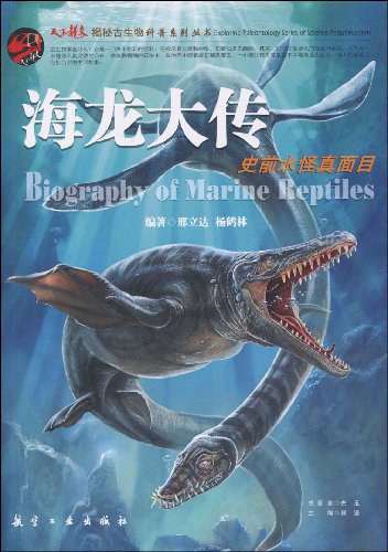 海龙大传