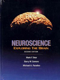 Neuroscience (Lippincott Williams & Wilkins 2002)