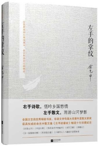 左手的掌纹