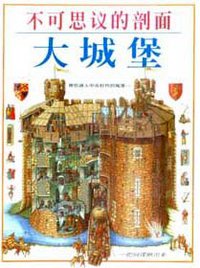 不可思议的剖面：大城堡 (三联书店 1996)