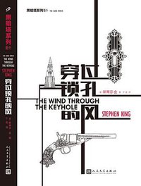 穿过锁孔的风 (人民文学出版社 2016)
