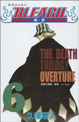 BLEACH 境·界6