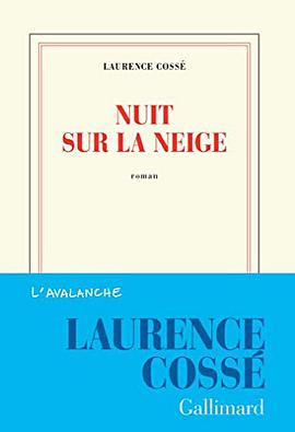 Nuit sur la neige