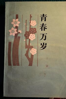 青春万岁