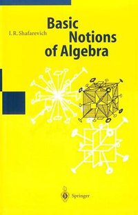 Basic Notions of Algebra (Springer 1997)