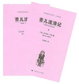 苦儿流浪记