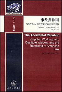 事故共和国 (上海三联书店 2008)