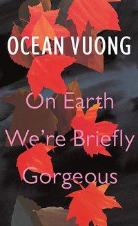 On Earth We're Briefly Gorgeous (Vintage Publishing 2019)