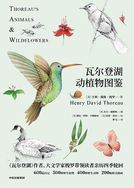 瓦尔登湖动植物图鉴