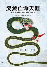 突然亡命天涯 (江苏凤凰文艺出版社 2017)