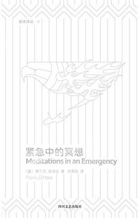 紧急中的冥想 (四川文艺出版社 2019)