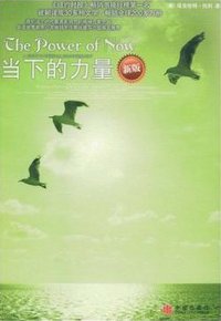 当下的力量 (中信出版社 2009)