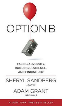 Option B (Knopf 2017)