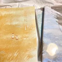 紙飛機 (威向 2019)