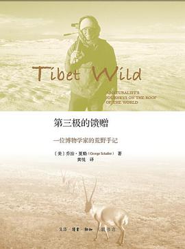 第三极的馈赠