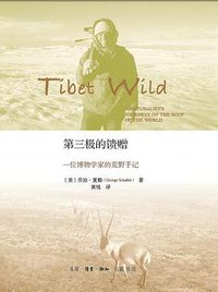第三极的馈赠