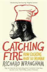 Catching Fire (Profile Books 2010)