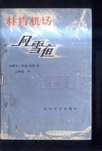 林肯机场风雪夜 (花山文艺出版社)