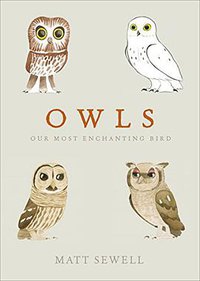 Owls (Ebury Press 2014)