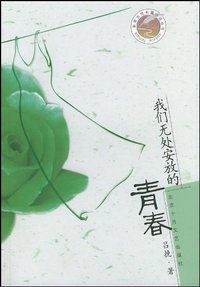 我们无处安放的青春 (北京十月文艺出版社 2005)