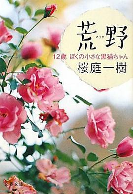 荒野―12歳ぼくの小さな黒猫ちゃん