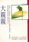 大親親 (皇冠 1991)
