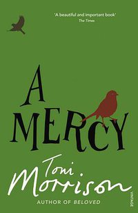 A Mercy (2009)