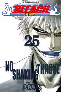 死神25 (东立出版社有限公司 2007)