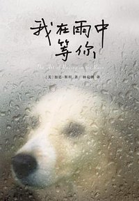 我在雨中等你 (南海出版公司 2019)