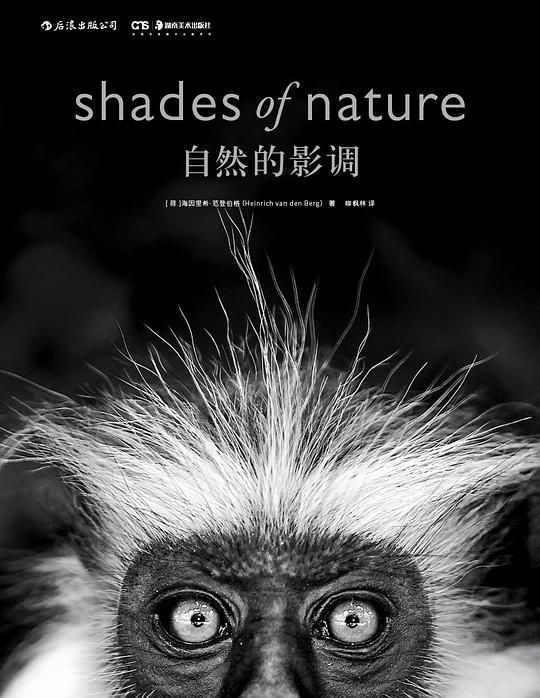 自然的影调