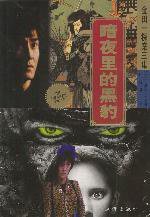 暗夜里的黑豹 (珠海出版社 2002)