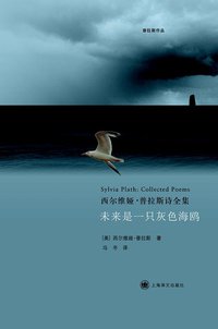 未来是一只灰色海鸥 (上海译文出版社 2013)