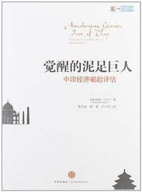 觉醒的泥足巨人 (中信出版社 2012)