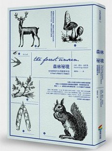 森林祕境