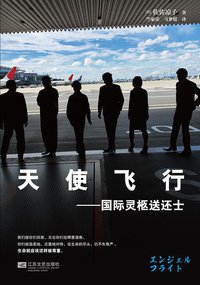 天使飞行 (江苏文艺出版社 2014)