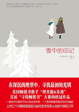 雪中的印记
